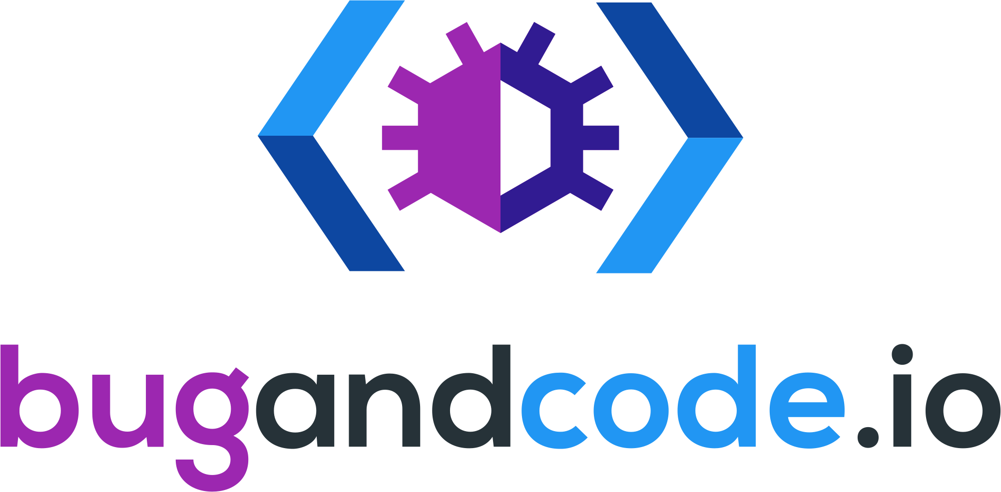 Bug and Code logo